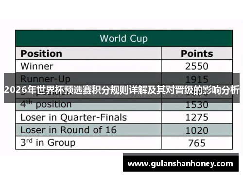 2026年世界杯预选赛积分规则详解及其对晋级的影响分析