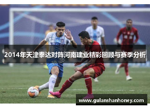 2014年天津泰达对阵河南建业精彩回顾与赛季分析 2014年天津泰达对阵河南建业精彩回顾与赛季分析