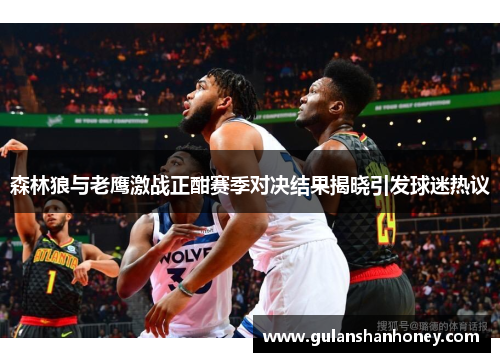 森林狼与老鹰激战正酣赛季对决结果揭晓引发球迷热议 森林狼与老鹰激战正酣赛季对决结果揭晓引发球迷热议