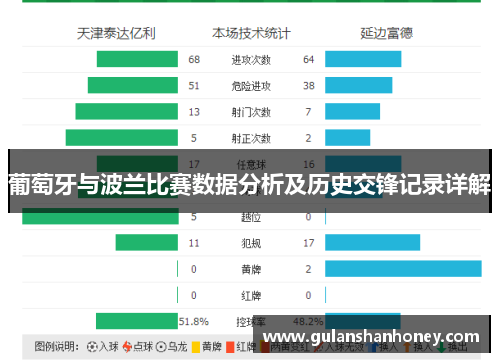 葡萄牙与波兰比赛数据分析及历史交锋记录详解 葡萄牙与波兰比赛数据分析及历史交锋记录详解